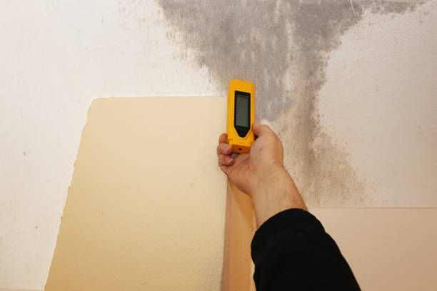 Best Crawl Space Mold Remediation  in Harrisburg, NC