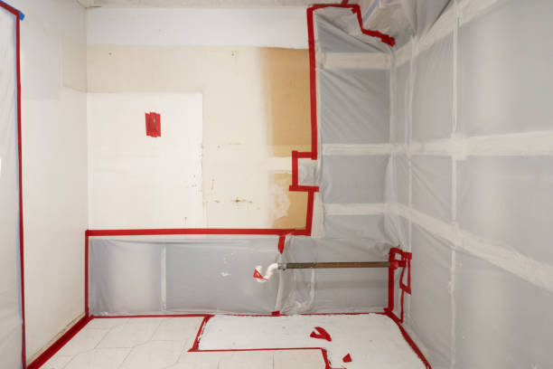 Best Asbestos and Lead Testing During Mold Inspection  in Harrisburg, NC
