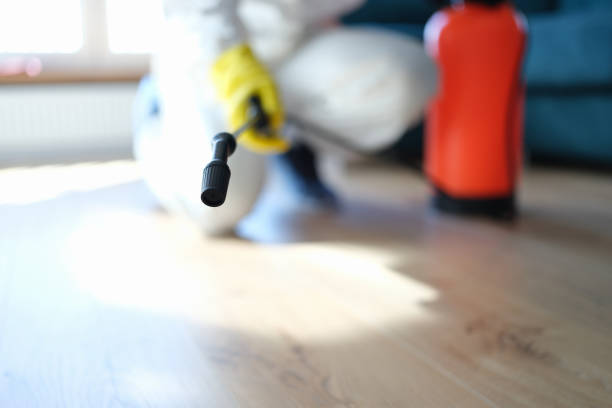 Best Forensic Mold Investigation  in Harrisburg, NC