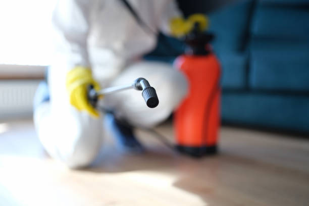 Best Mold-Related Health Consultation  in Harrisburg, NC