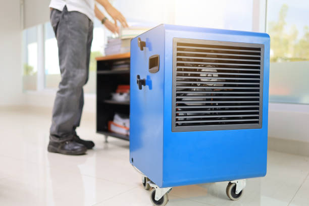 Best Black Mold Removal  in Harrisburg, NC