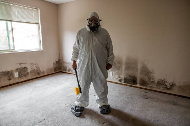 Best Mold Odor Removal Services  in Harrisburg, NC